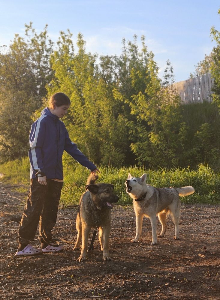 Photograph by Эльвира