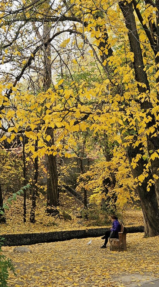 Photograph by Эльвира