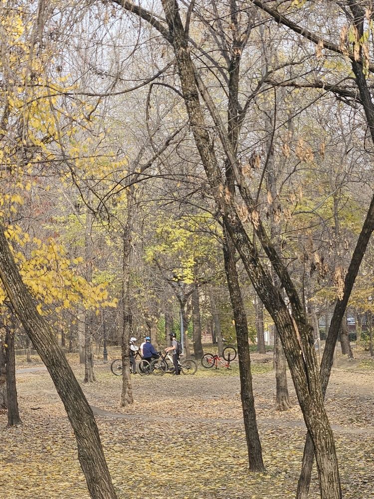 Photograph by Эльвира