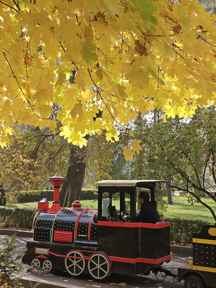 Photograph by Эльвира