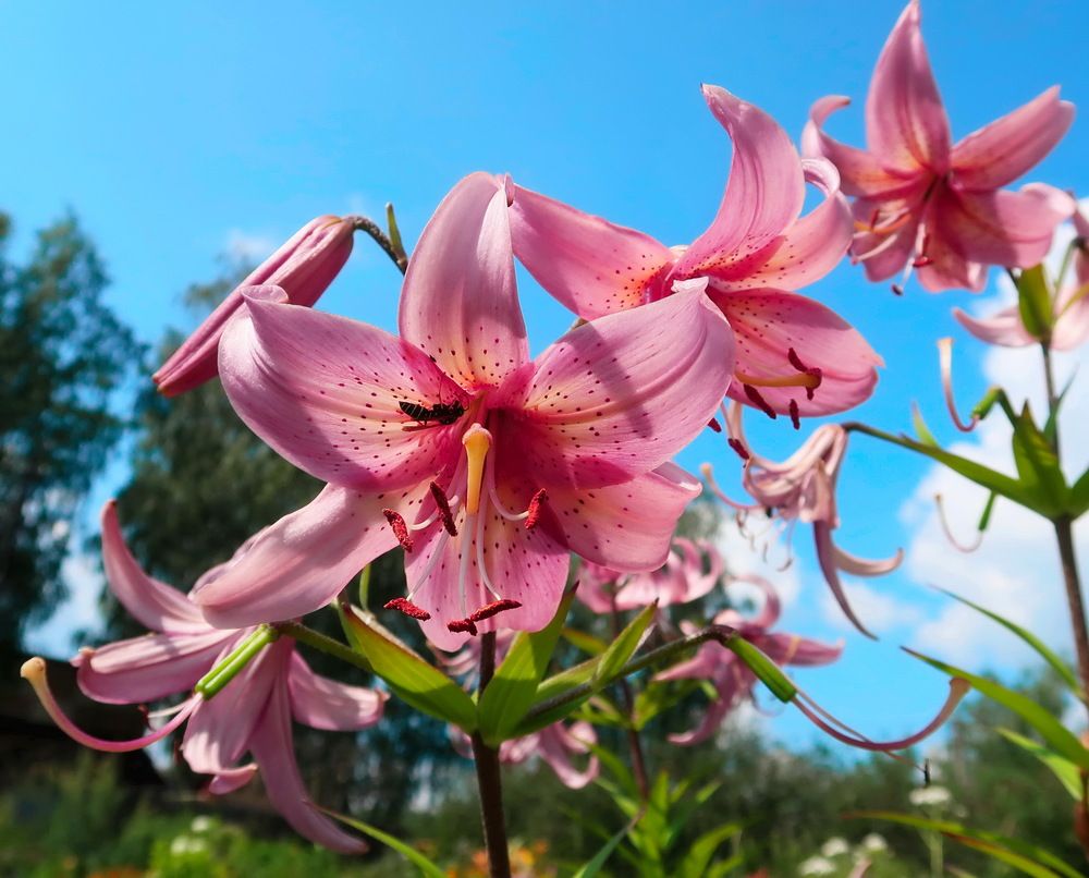 Photograph by Нина