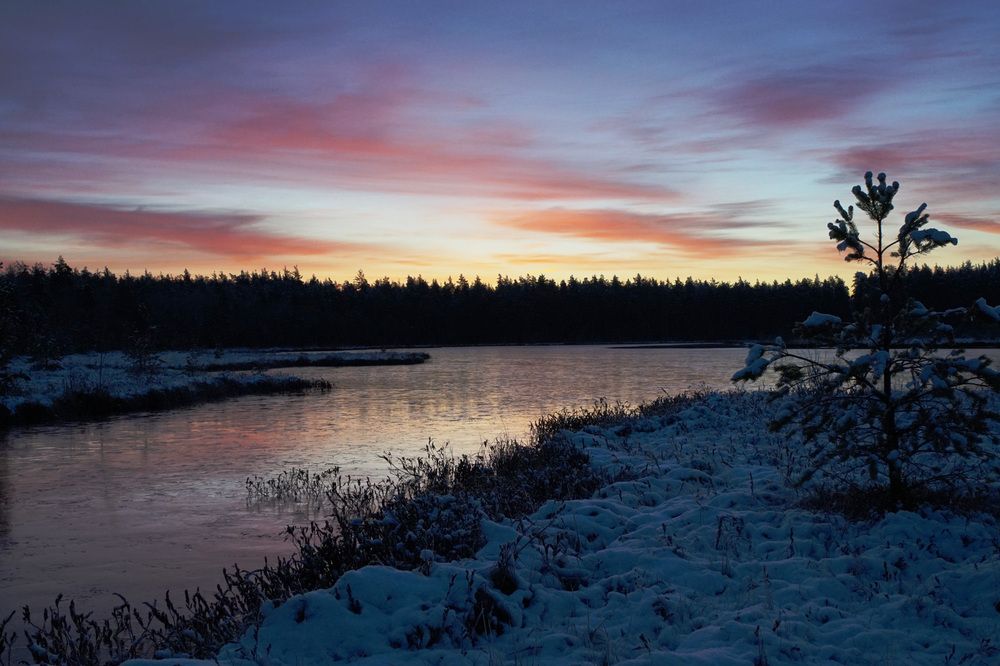 Photograph by Лена Максимкина