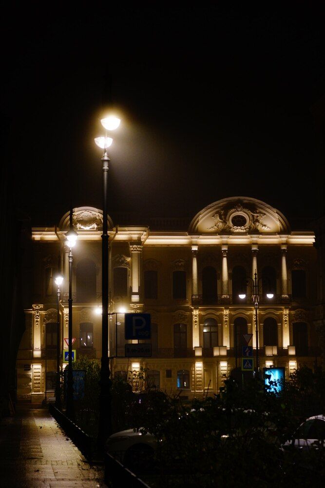 Night in the fog