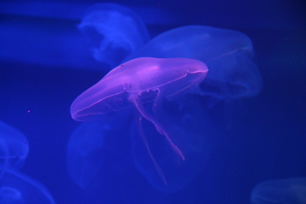 Photograph by Валентина