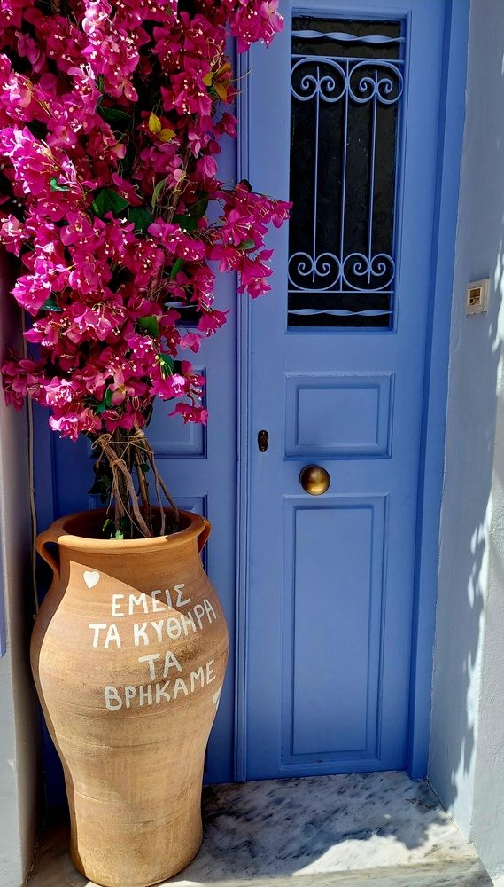 Eternal sunshine in pink and blue
