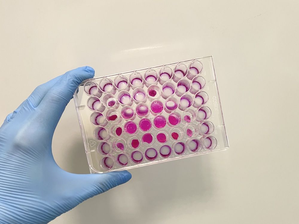 Photograph by Eastpearl