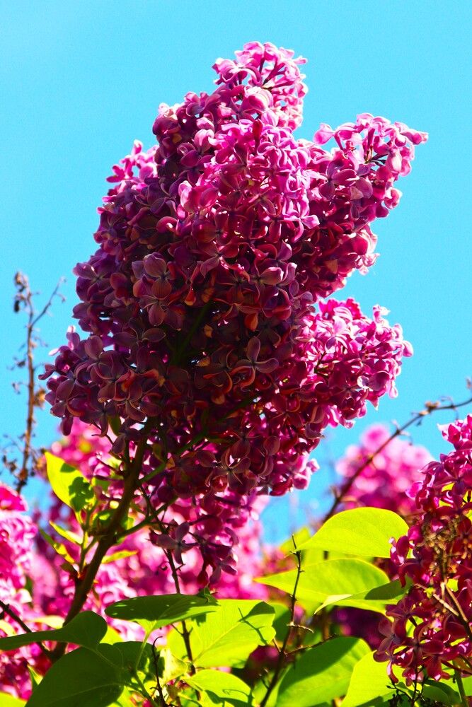 Photograph by ОЛЬГА ДЕРБЕНЕВА