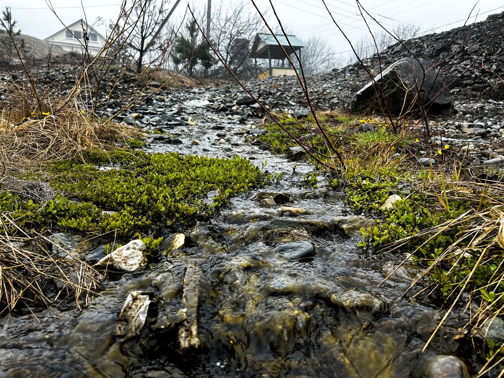 Photograph by Анастасия Владимировна
