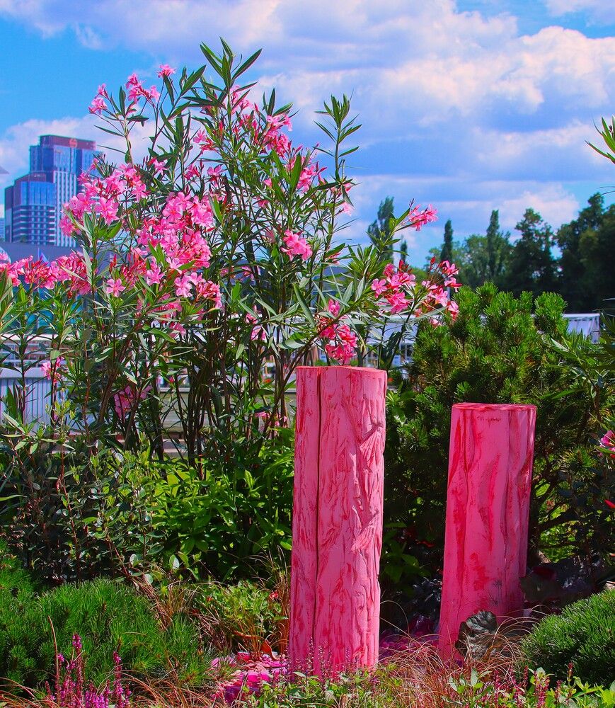 Photograph by ОЛЬГА ДЕРБЕНЕВА