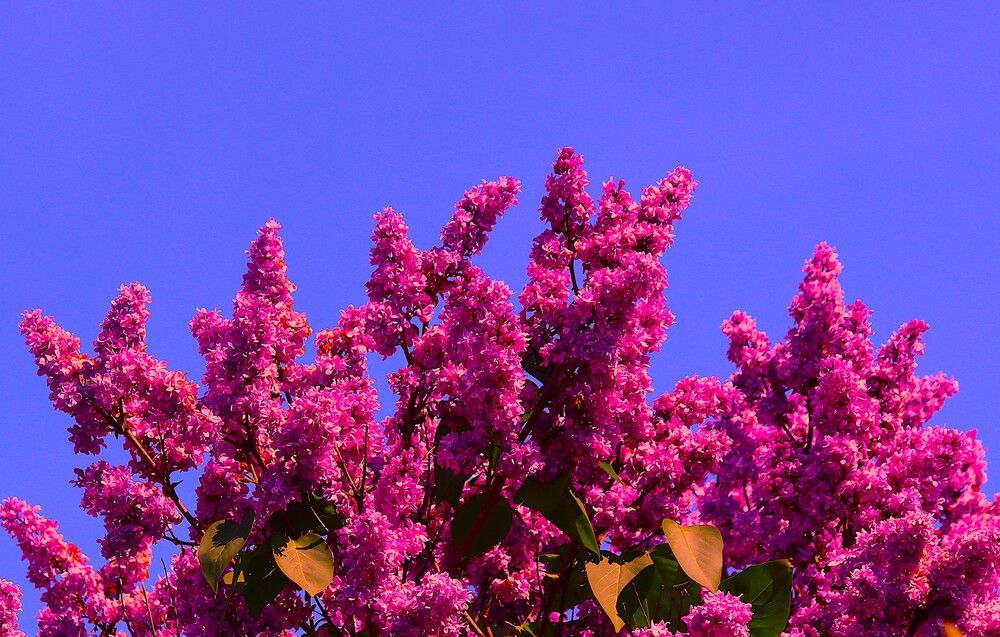 Photograph by ОЛЬГА ДЕРБЕНЕВА