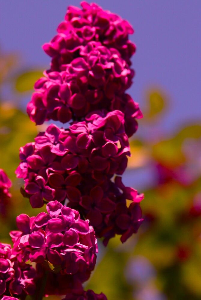 Photograph by ОЛЬГА ДЕРБЕНЕВА