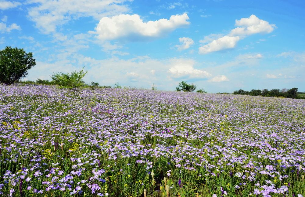 Фотография автора ВЛАДИМИР Тертышник