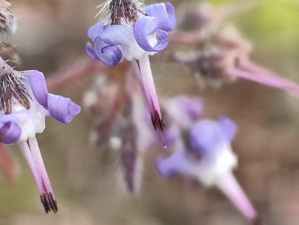 Photograph by OLGA MIKHNEVICH