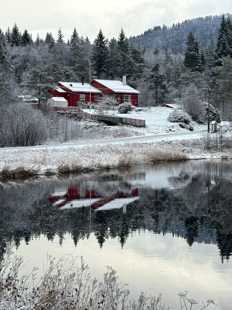Фотография автора Ольга Кудіна