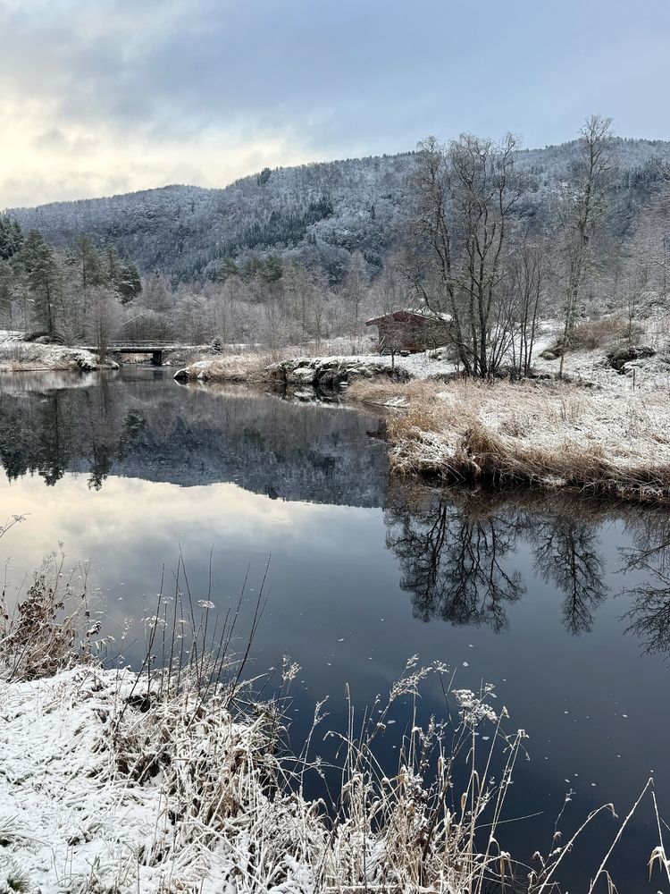 Фотография автора Ольга Кудіна