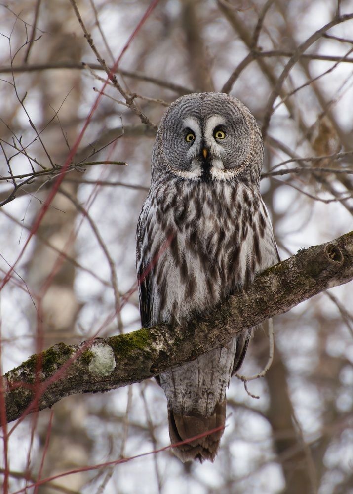 Photograph by Валентина Куренкова