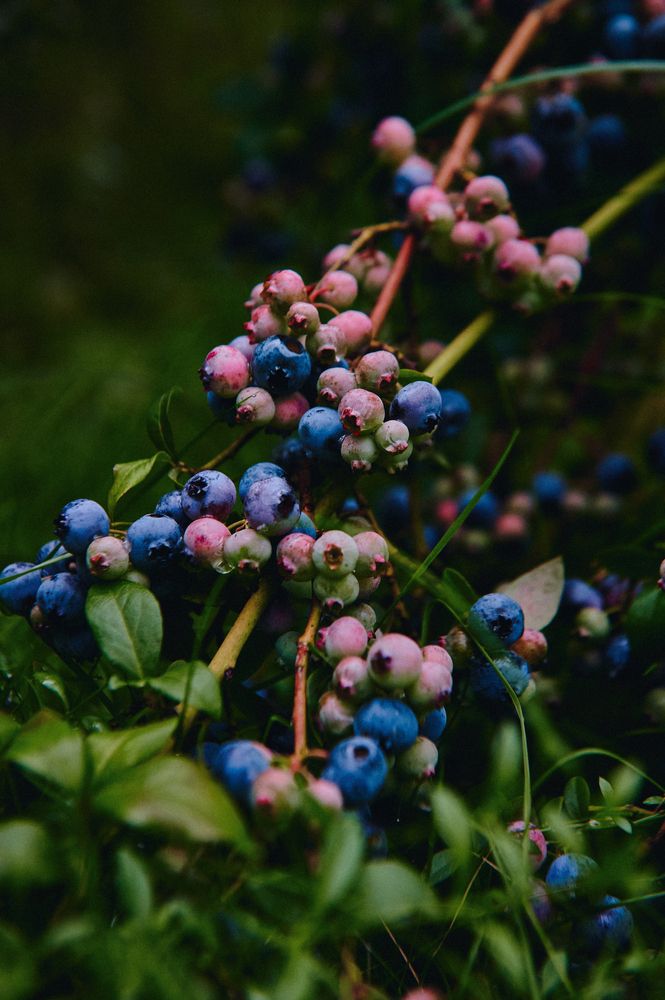 Фотография автора Александр Жданов