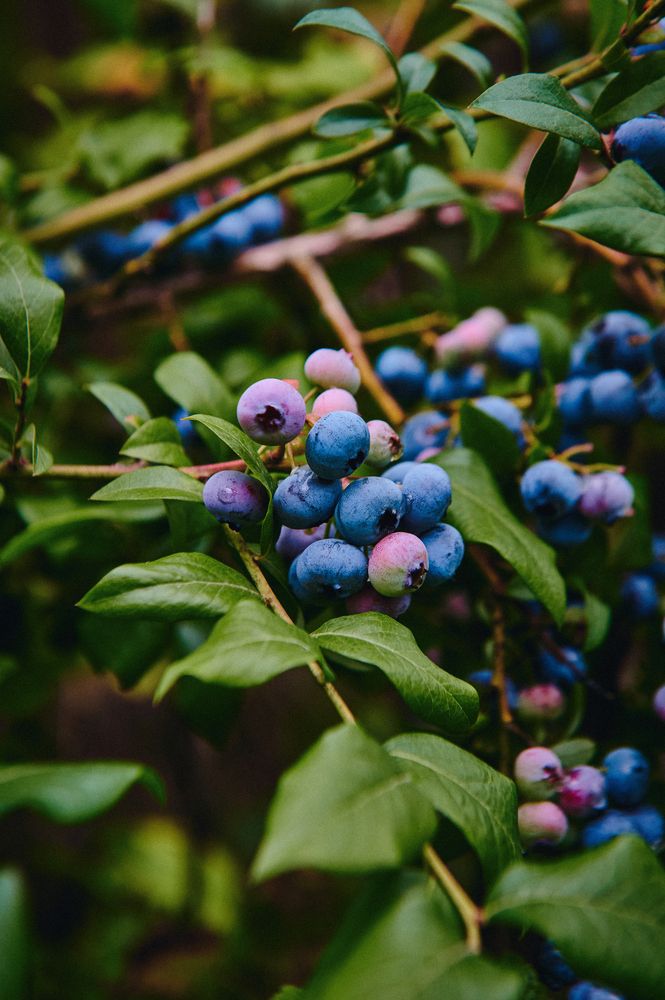 Фотография автора Александр Жданов