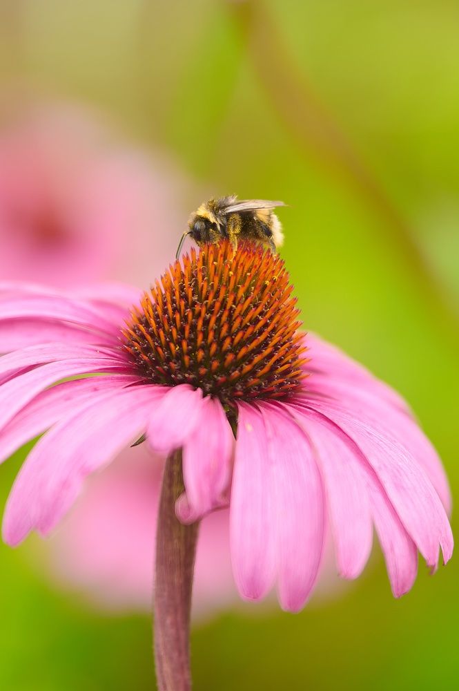 Фотография автора Александр Жданов