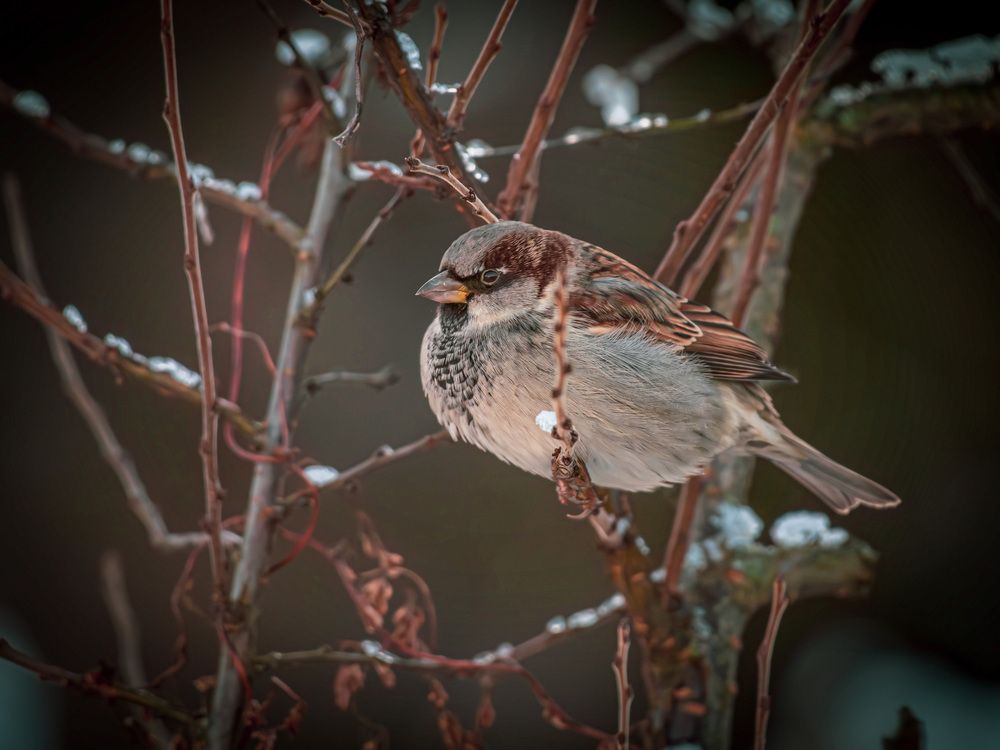 Photograph by Николай Абакумов