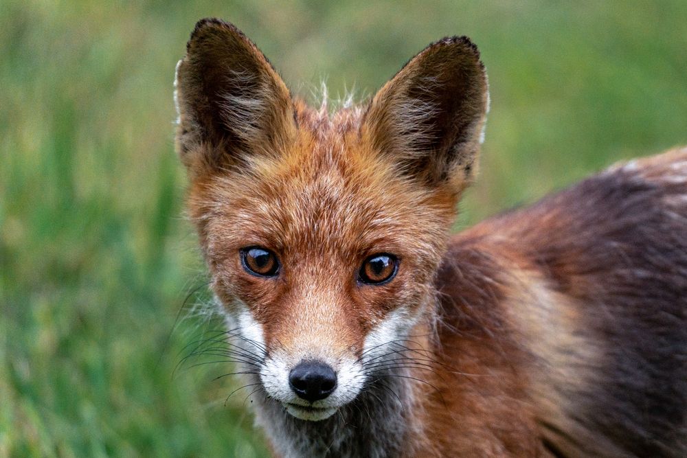 Photograph by Dace Spalvina