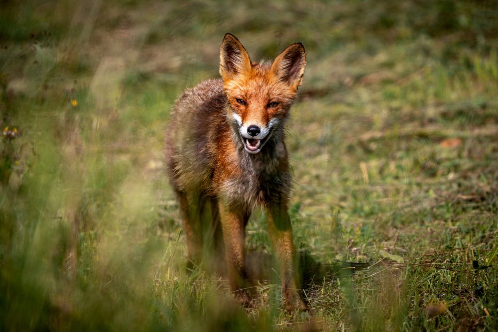 Photograph by Dace Spalvina