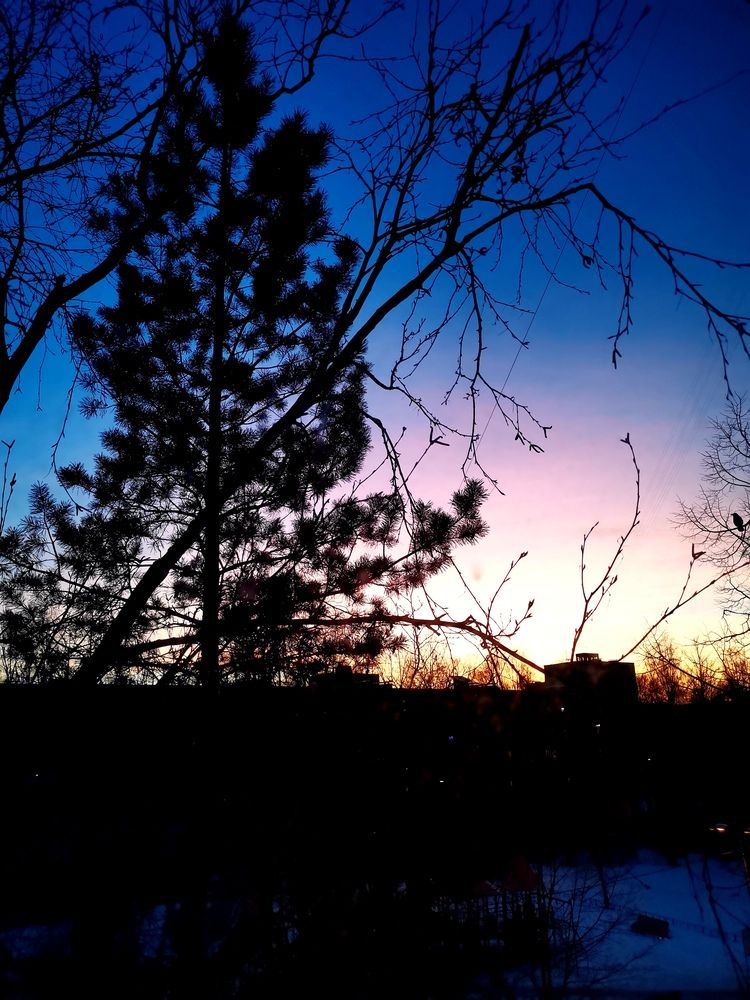 Photograph by Мария Клабукова