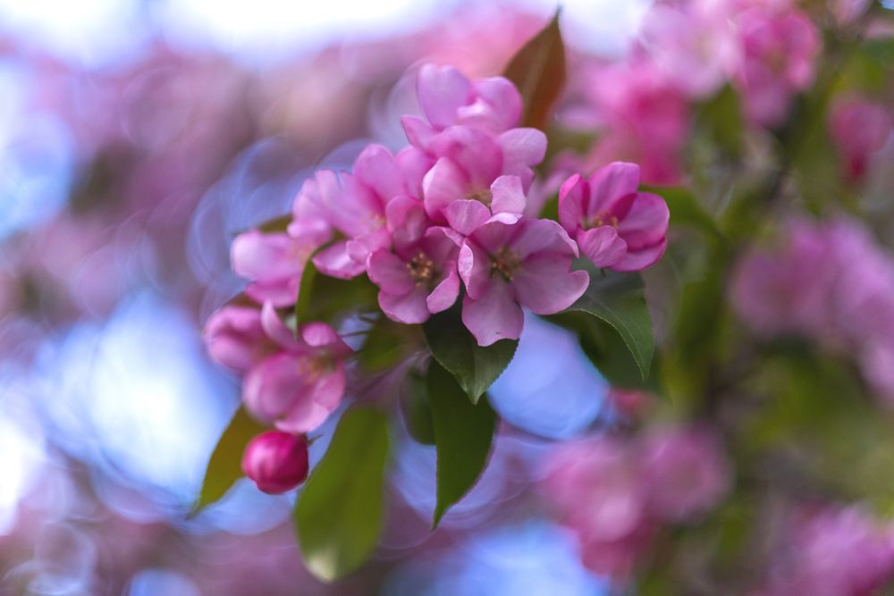 Photograph by Елена Барышева