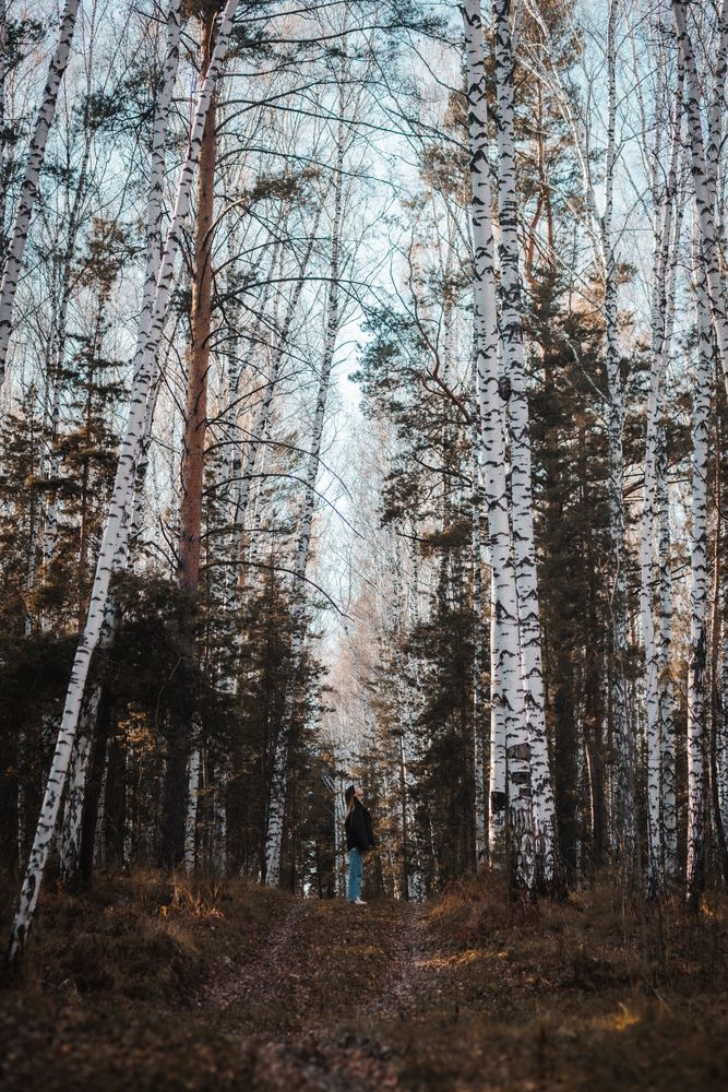 Photograph by Антон Чупин