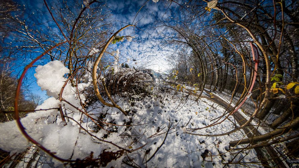 Photograph by Дмитрий Плотников