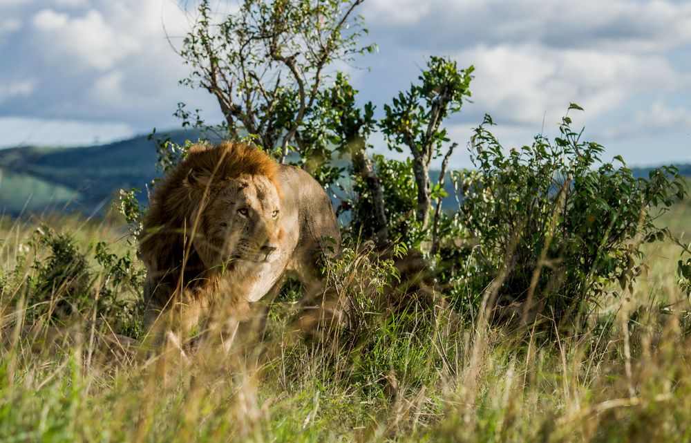 Photograph by Murad Rajabali Habib