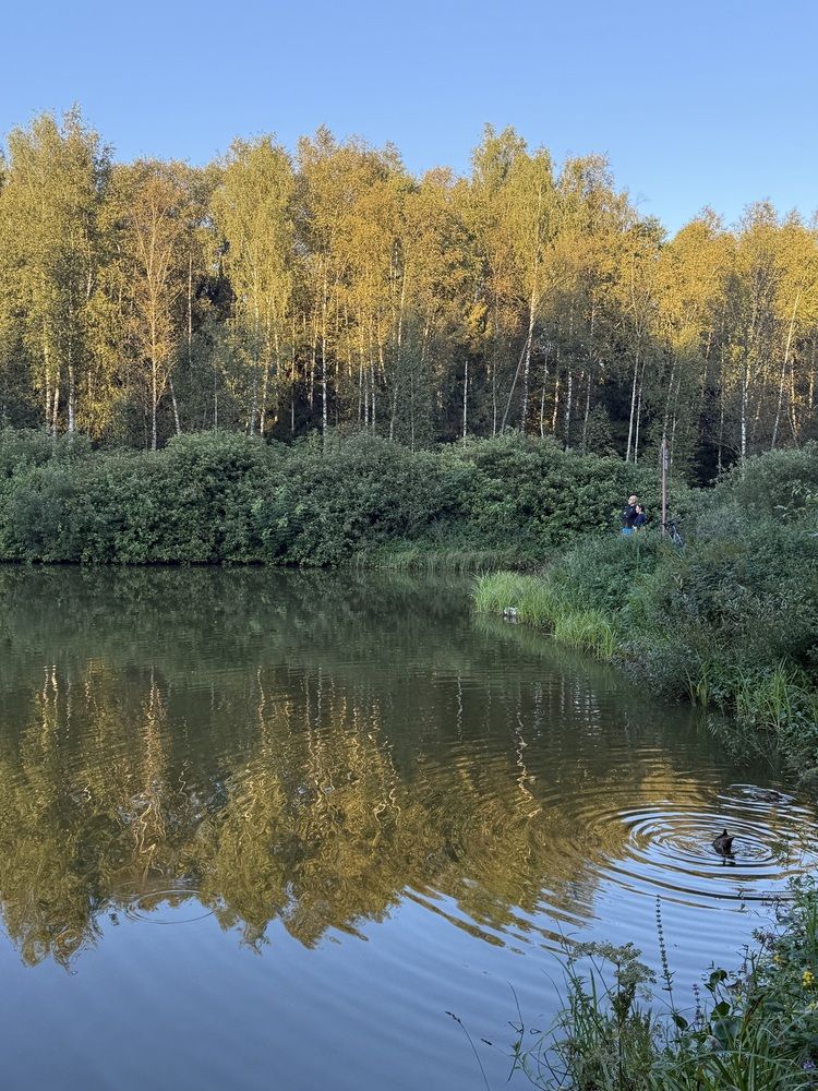 Фотография автора Виктория Ляпина