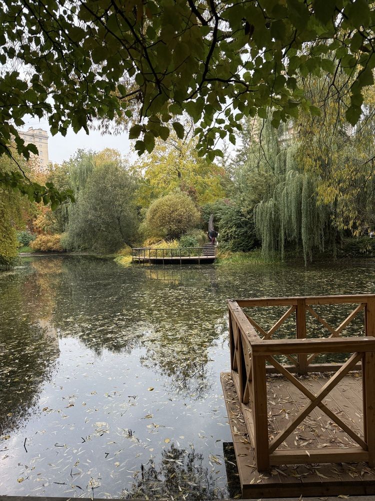 Фотография автора Виктория Ляпина