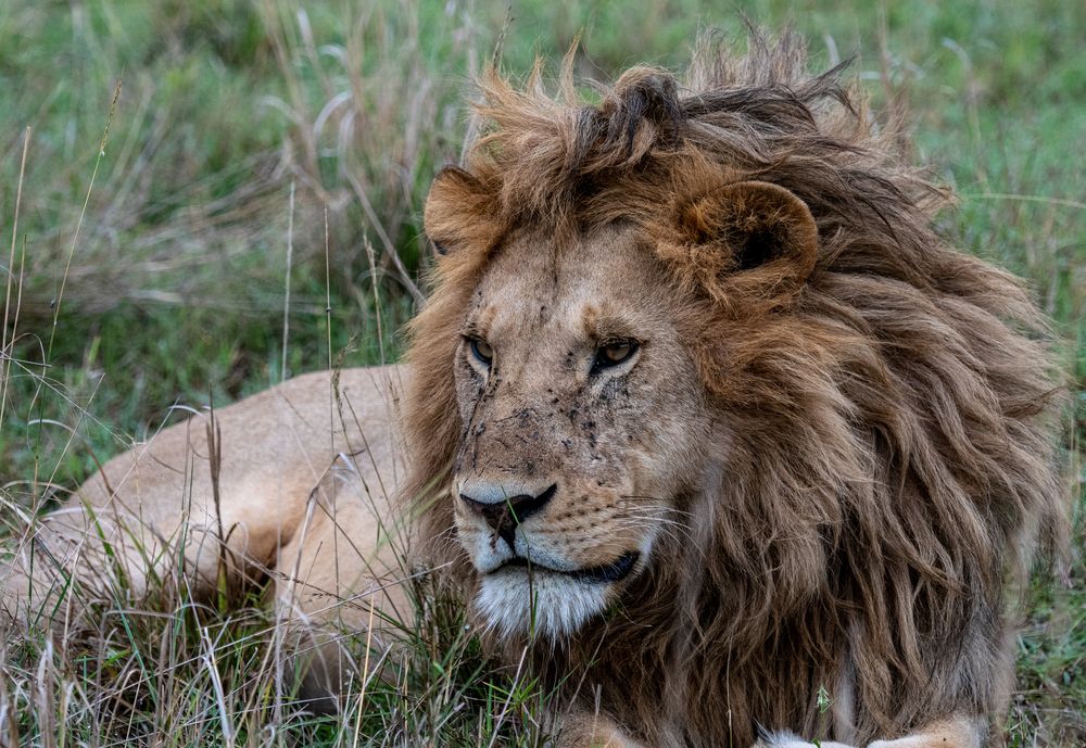 Photograph by Murad Rajabali Habib