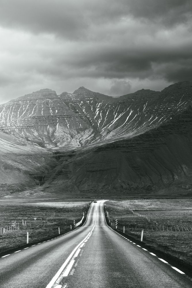 Фотография автора Talal Abodeshish