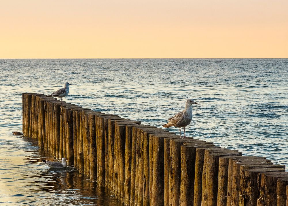 Photograph by Наталья Колеватова