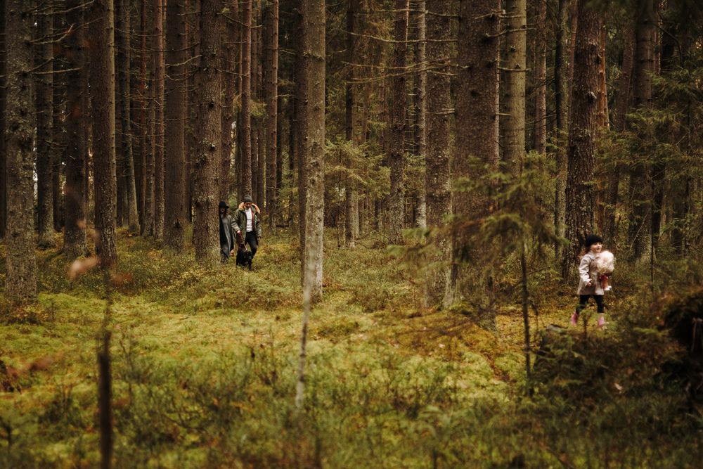 Photograph by Екатерина Воронина