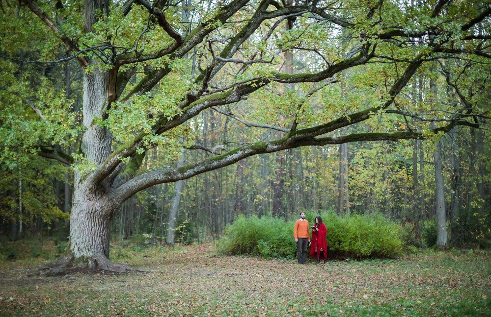 Photograph by Александр Авдеев