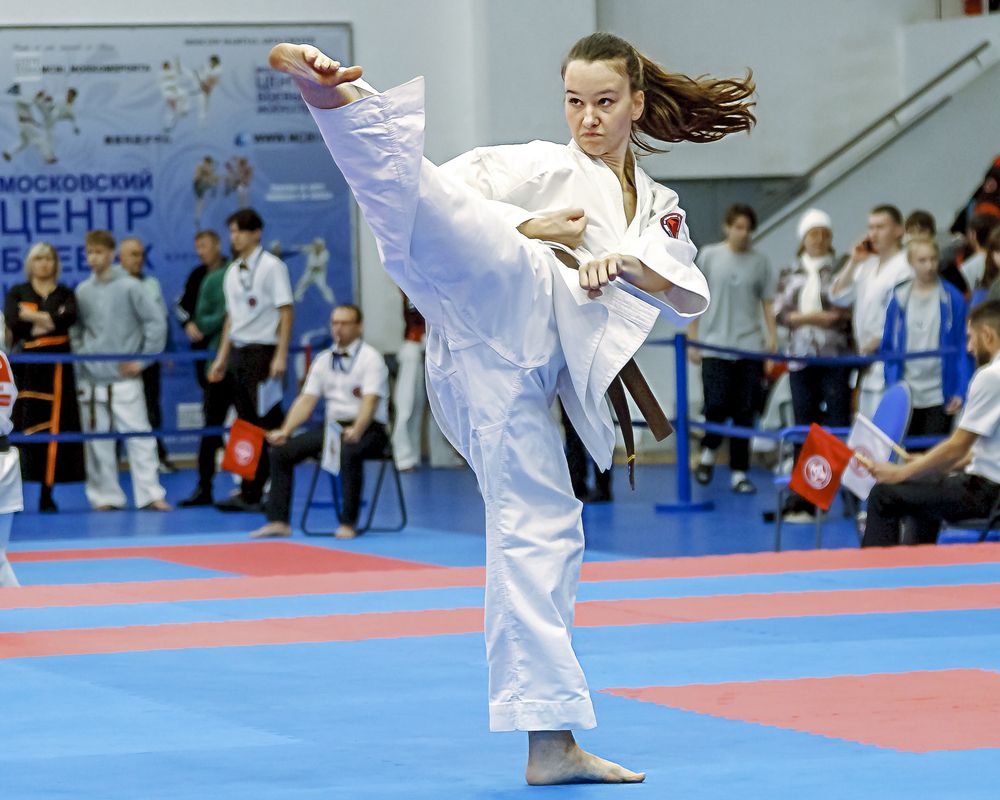 Исполнение ката