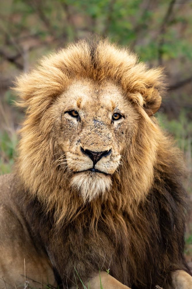 Photograph by Benjamin Pimor