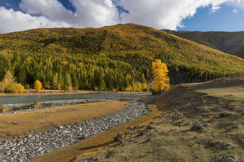 Photograph by Юлия Яковлева