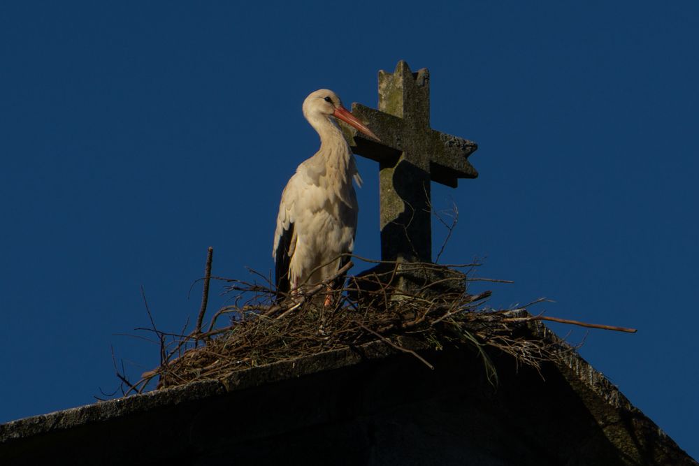 Photograph by Josué Antonio Rodríguez Pérez