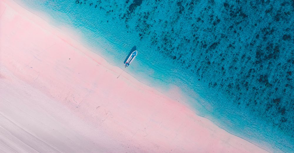 Photograph by Eric Poon