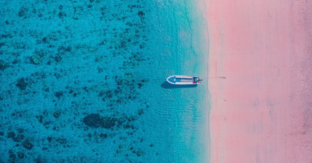 Photograph by Eric Poon