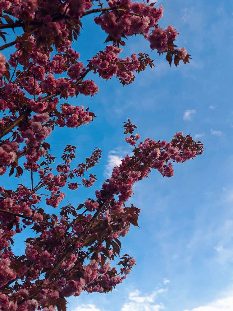 Photograph by Maria Stankevich