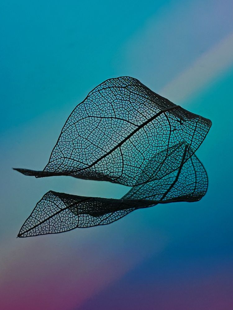 Photograph by Maria Stankevich