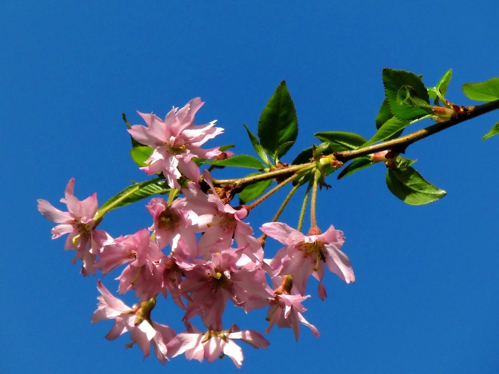 Photograph by Савоцкий Роман