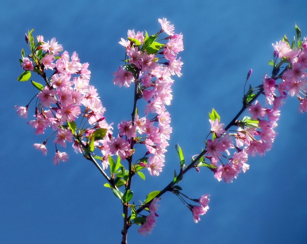 Photograph by Савоцкий Роман