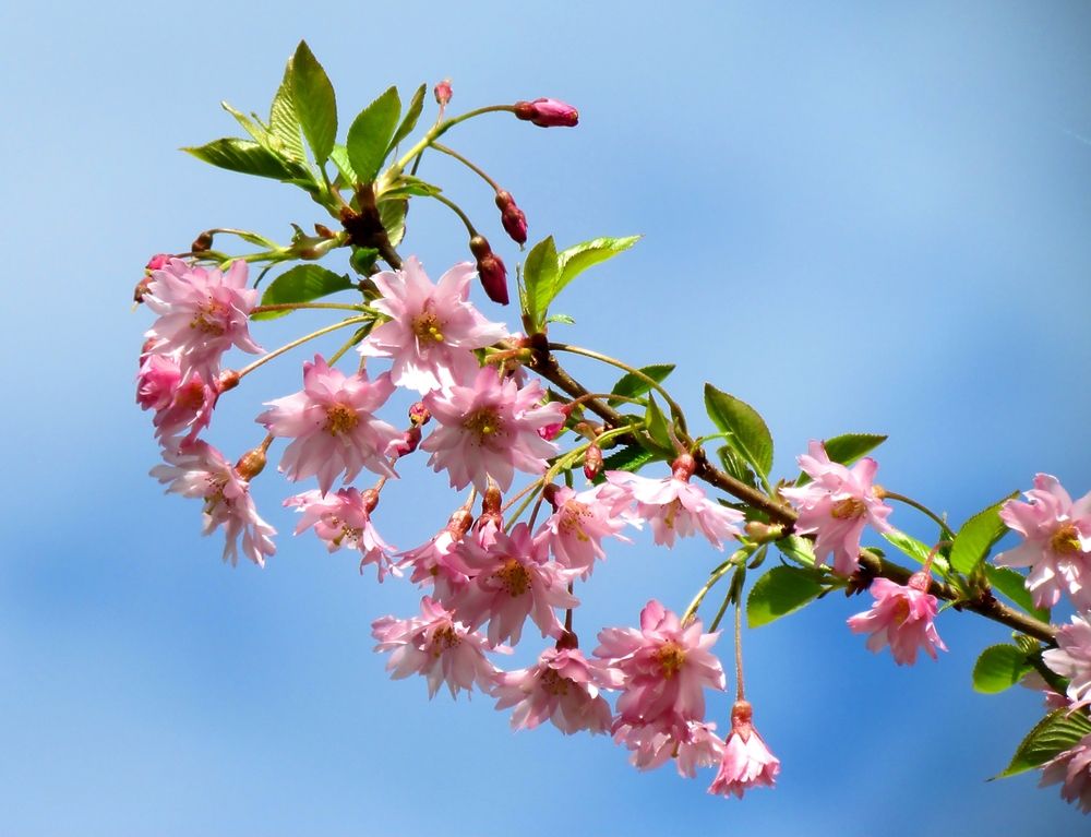 Фотография автора Роман Савоцкий