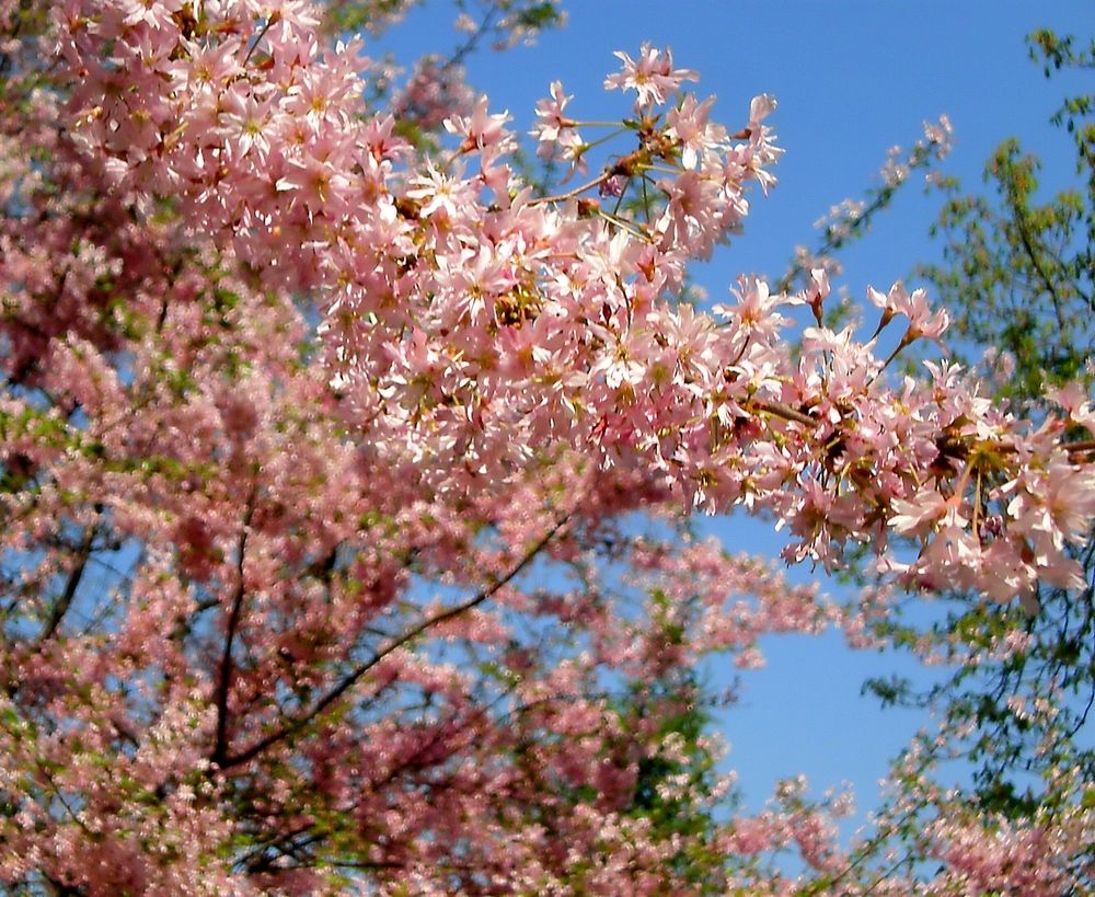 Фотография автора Роман Савоцкий